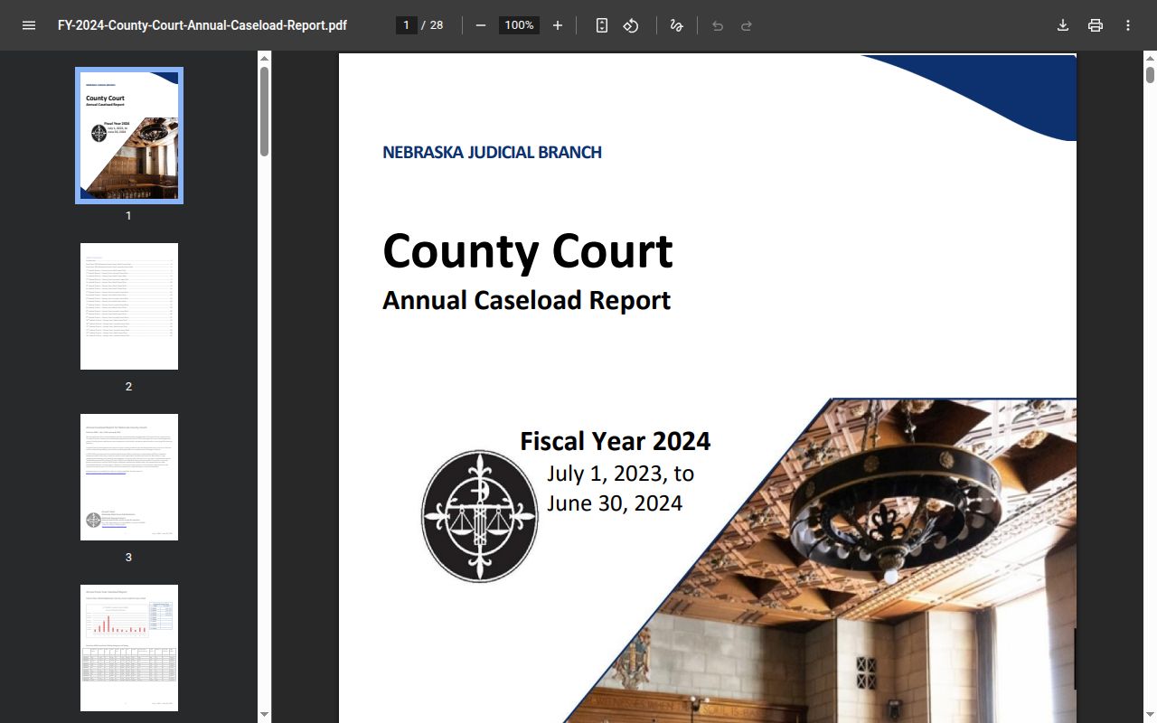 Perkins County civil docket FY2024 caseload report row