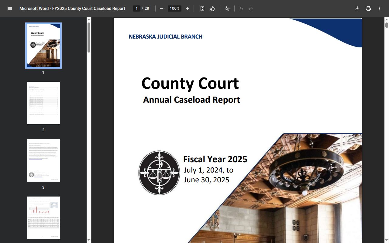 Perkins County court docket FY2025 caseload report row